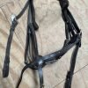 XF brown grackle bridle with padded head piece