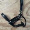 PONY black leather head collar with brass metal work