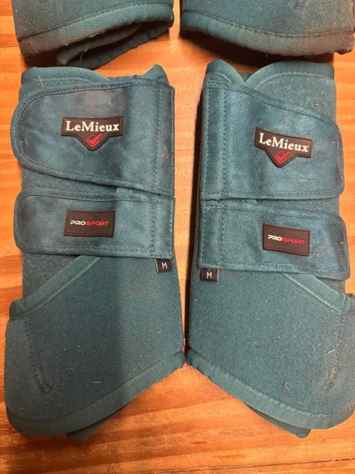 Lemieux peacock green set of 4  X2 M + X2 L - Image 3